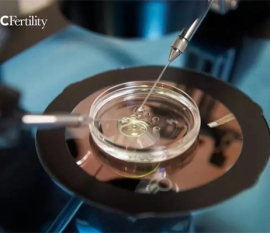 鲜胚移植着床时间都在这，最晚几天着床跟质量有关