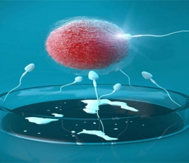 孩子上课注意力不集中怎么办？